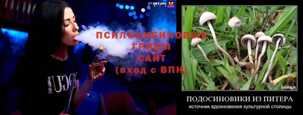 apvp Алзамай