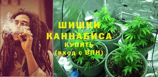 apvp Алзамай