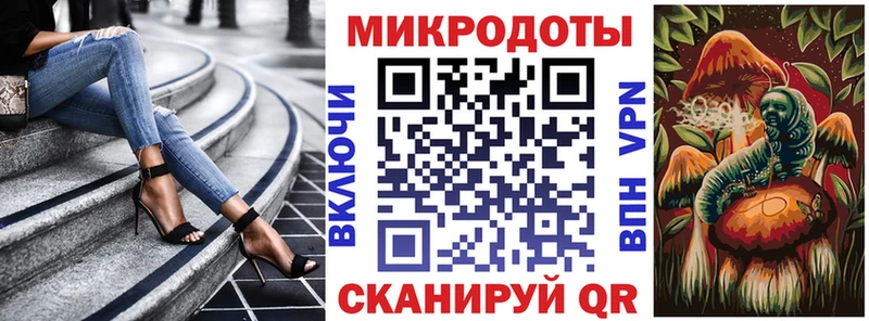 Псилоцибиновые грибы мицелий  mega tor  Сясьстрой  купить наркотики сайты 