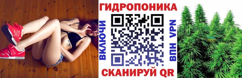 Бошки Шишки White Widow  Сясьстрой 